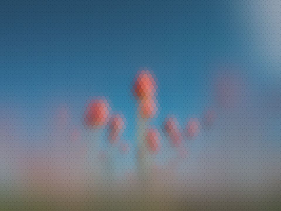 Red tulips under a blue sky as an Asian swallowtail sees them (simulation): colours remapped to its 5 receptor classes, and fine detail softened.