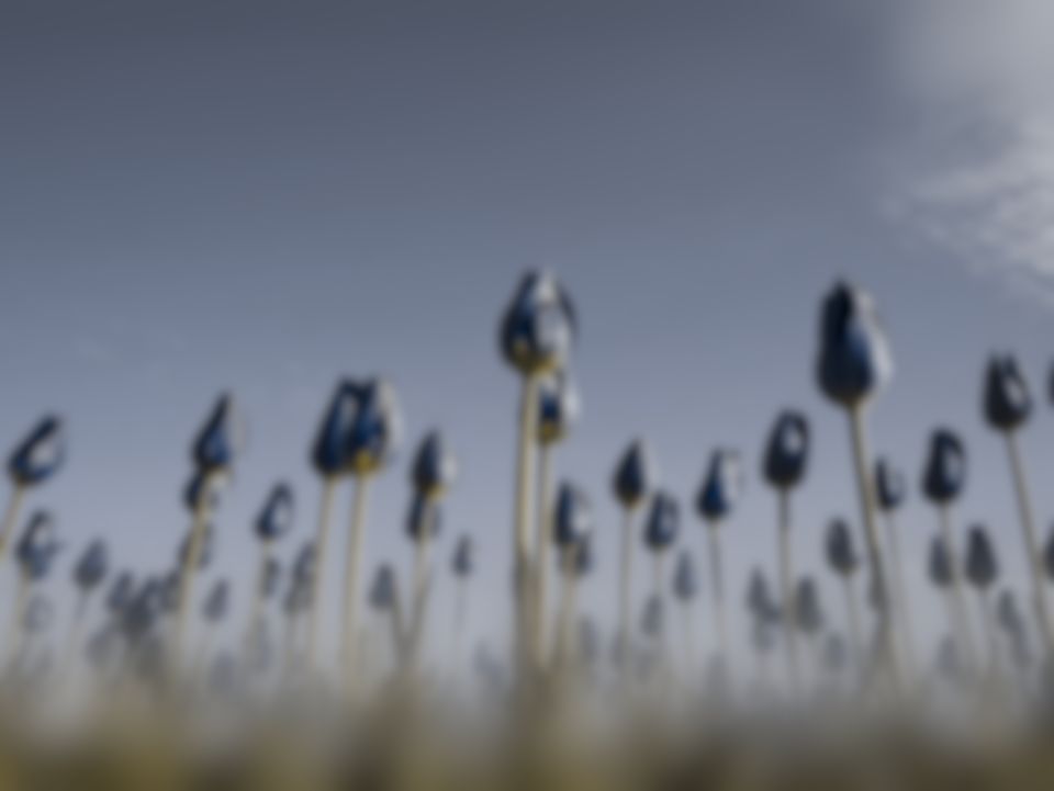 Red tulips under a blue sky as a brown rat sees them (simulation): the red petals move towards the colour of the green stems, while the blue sky stays blue, and fine detail softened.