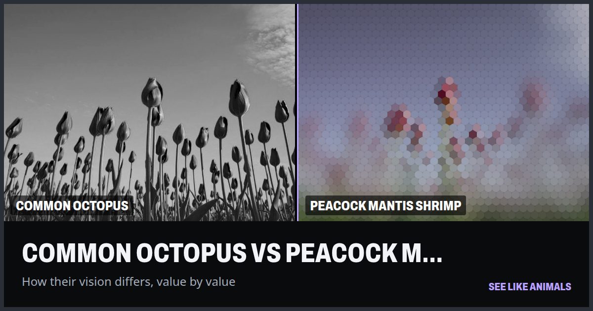 Red tulips through the eyes of the common octopus and the peacock mantis shrimp, side by side.