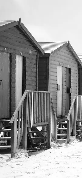 Beach huts as a brownbanded bamboo shark sees the colours