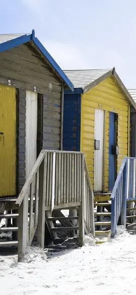 Beach huts as a cow sees the colours