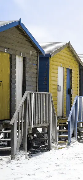 Beach huts as a horse sees the colours