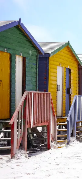 Beach huts as a rock pigeon sees the colours