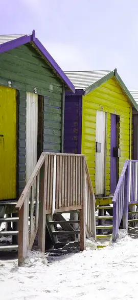 Beach huts as a western honey bee sees the colours