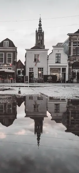 Old town square as a budgerigar sees the colours
