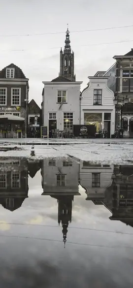 Old town square as a cat sees the colours