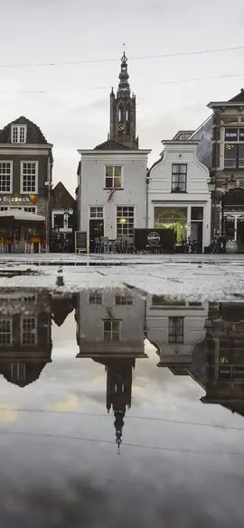 Old town square as a tawny owl sees the colours